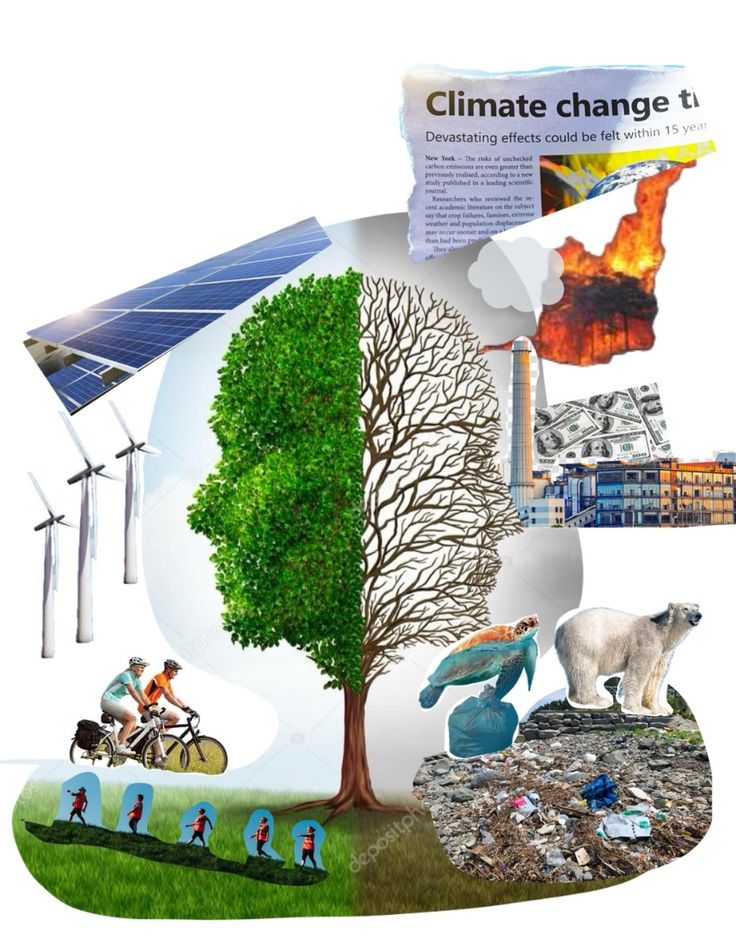 Psychometric Properties of Classroom Creativity Climate Scale (CCCS): Evidence of Confirmatory Factor Analysis in Pakistani Situation.