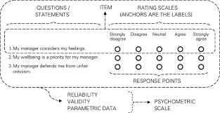 Comprehensive Services About Psychometric Properties of the Scale